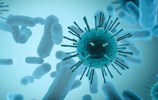 ZunyouWu: L'epidemia di vaiolo delle scimmie non causerà un'epidemia su larga scala in Cina.